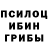 Псилоцибиновые грибы MAGIC MUSHROOMS Lecturas Lunares